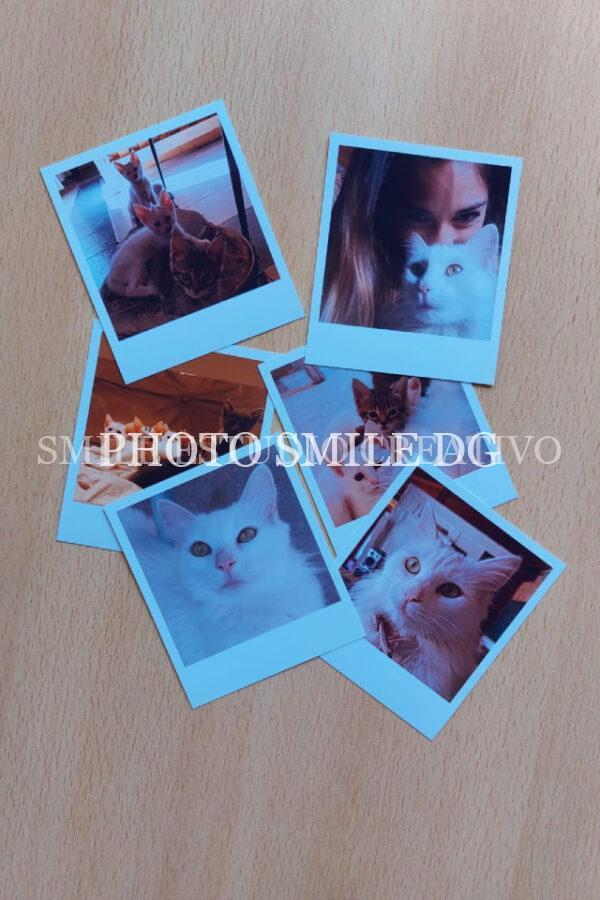 Polaroid Grand x12 unidades - Image 3