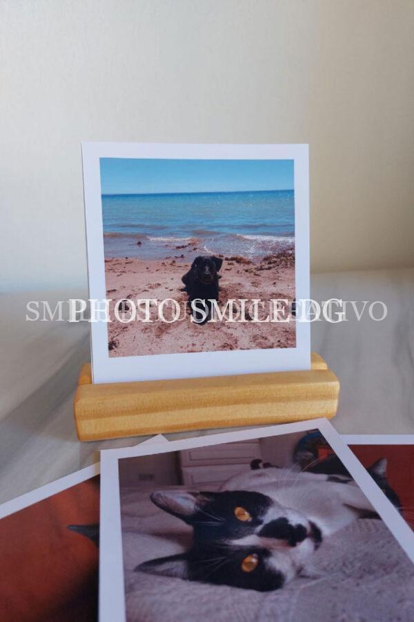 Polaroid Grand x12 unidades + 1 base